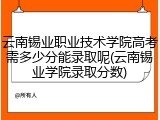 云南锡业职业技术学院高考需多少分能录取呢(云南锡业学院录取分数)