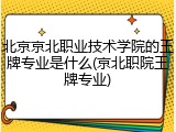 北京京北职业技术学院的王牌专业是什么(京北职院王牌专业)