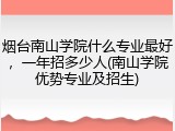 烟台南山学院什么专业最好，一年招多少人(南山学院优势专业及招生)