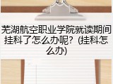 芜湖航空职业学院就读期间挂科了怎么办呢？(挂科怎么办)
