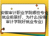 安徽审计职业学院哪些专业就业前景好，为什么(安徽审计学院好就业专业)