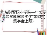 广东财贸职业学院一年奖学金最多能拿多少(广东财贸奖学金上限)