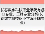 长春数字科技职业学院有哪些专业，王牌专业分析(长春数字科技职业学院王牌专业)