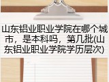 山东铝业职业学院在哪个城市，是本科吗，第几批(山东铝业职业学院学历层次)