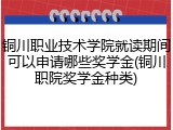 铜川职业技术学院就读期间可以申请哪些奖学金(铜川职院奖学金种类)