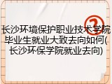 长沙环境保护职业技术学院毕业生就业大致去向如何(长沙环保学院就业去向)