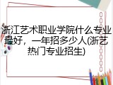 浙江艺术职业学院什么专业最好，一年招多少人(浙艺热门专业招生)