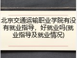 北京交通运输职业学院有没有就业指导，好就业吗(就业指导及就业情况)