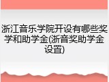 浙江音乐学院开设有哪些奖学和助学金(浙音奖助学金设置)