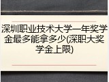 深圳职业技术大学一年奖学金最多能拿多少(深职大奖学金上限)