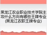 黑龙江农业职业技术学院主攻什么方向有哪些王牌专业(黑龙江农职王牌专业)