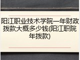 阳江职业技术学院一年财政拨款大概多少钱(阳江职院年拨款)