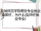 盐城师范学院哪些专业就业前景好，为什么(盐师好就业专业)