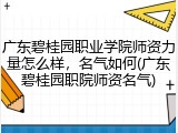 广东碧桂园职业学院师资力量怎么样，名气如何(广东碧桂园职院师资名气)