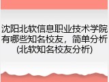 沈阳北软信息职业技术学院有哪些知名校友，简单分析(北软知名校友分析)