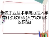 武汉职业技术学院办理入学有什么攻略没(入学攻略武汉职院)