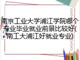 南京工业大学浦江学院哪个专业毕业就业前景比较好(南工大浦江好就业专业)