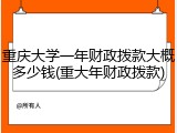 重庆大学一年财政拨款大概多少钱(重大年财政拨款)