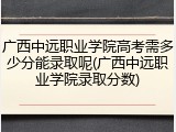 广西中远职业学院高考需多少分能录取呢(广西中远职业学院录取分数)