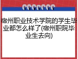 宿州职业技术学院的学生毕业都怎么样了(宿州职院毕业生去向)