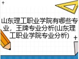 山东理工职业学院有哪些专业，王牌专业分析(山东理工职业学院专业分析)