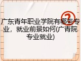广东青年职业学院有哪些专业，就业前景如何(广青院专业就业)