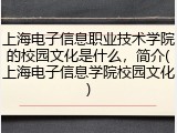 上海电子信息职业技术学院的校园文化是什么，简介(上海电子信息学院校园文化)