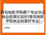 青岛电影学院哪个专业毕业就业前景比较好(青岛电影学院就业前景好专业)