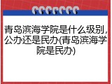 青岛滨海学院是什么级别，公办还是民办(青岛滨海学院是民办)