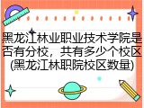 黑龙江林业职业技术学院是否有分校，共有多少个校区(黑龙江林职院校区数量)