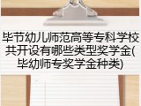 毕节幼儿师范高等专科学校共开设有哪些类型奖学金(毕幼师专奖学金种类)