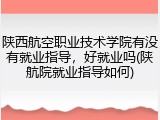 陕西航空职业技术学院有没有就业指导，好就业吗(陕航院就业指导如何)