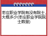 枣庄职业学院有没有院士，大概多少(枣庄职业学院院士数量)