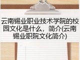 云南锡业职业技术学院的校园文化是什么，简介(云南锡业职院文化简介)