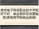 贵州电子商务职业技术学院好不好，就业现状及发展趋势(贵电商学院就业前景)