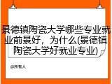 景德镇陶瓷大学哪些专业就业前景好，为什么(景德镇陶瓷大学好就业专业)