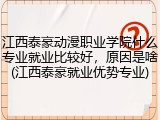 江西泰豪动漫职业学院什么专业就业比较好，原因是啥(江西泰豪就业优势专业)