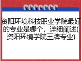 资阳环境科技职业学院最好的专业是哪个，详细阐述(资阳环境学院王牌专业)