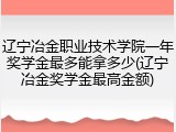 辽宁冶金职业技术学院一年奖学金最多能拿多少(辽宁冶金奖学金最高金额)