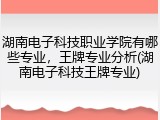 湖南电子科技职业学院有哪些专业，王牌专业分析(湖南电子科技王牌专业)