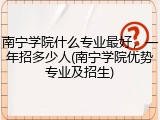 南宁学院什么专业最好，一年招多少人(南宁学院优势专业及招生)