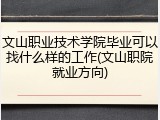 文山职业技术学院毕业可以找什么样的工作(文山职院就业方向)