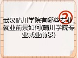 武汉晴川学院有哪些专业，就业前景如何(晴川学院专业就业前景)