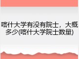 喀什大学有没有院士，大概多少(喀什大学院士数量)