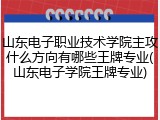 山东电子职业技术学院主攻什么方向有哪些王牌专业(山东电子学院王牌专业)
