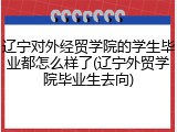 辽宁对外经贸学院的学生毕业都怎么样了(辽宁外贸学院毕业生去向)