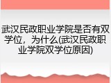 武汉民政职业学院是否有双学位，为什么(武汉民政职业学院双学位原因)