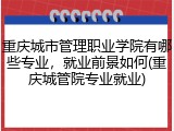 重庆城市管理职业学院有哪些专业，就业前景如何(重庆城管院专业就业)