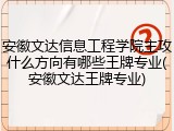 安徽文达信息工程学院主攻什么方向有哪些王牌专业(安徽文达王牌专业)