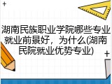 湖南民族职业学院哪些专业就业前景好，为什么(湖南民院就业优势专业)